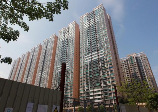 Ricacorp expects up to 10 pct rise in residential prices