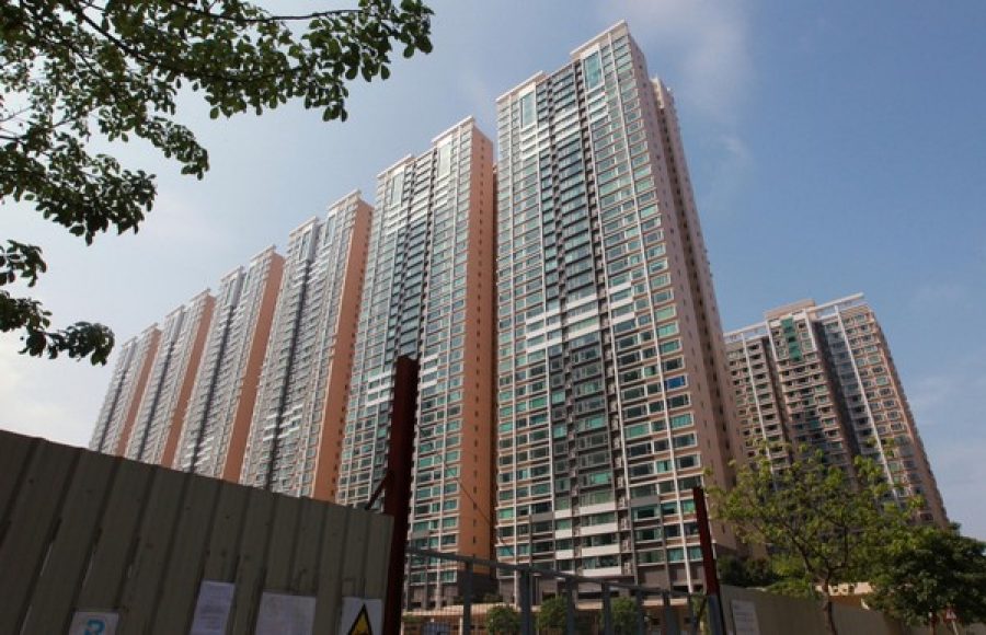 Ricacorp expects up to 10 pct rise in residential prices