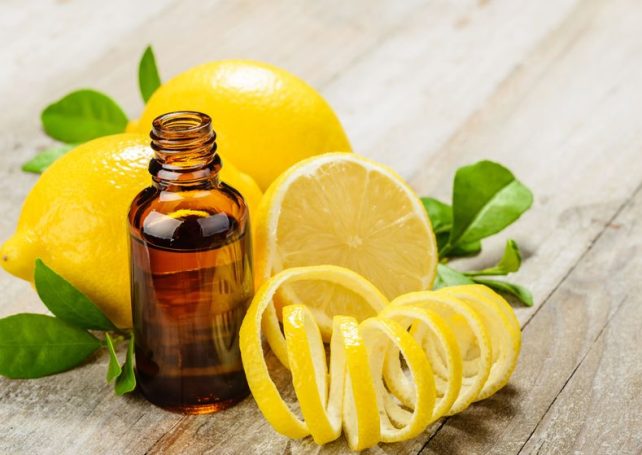 When Life Gives You Lemons…Make Cleaning Products!