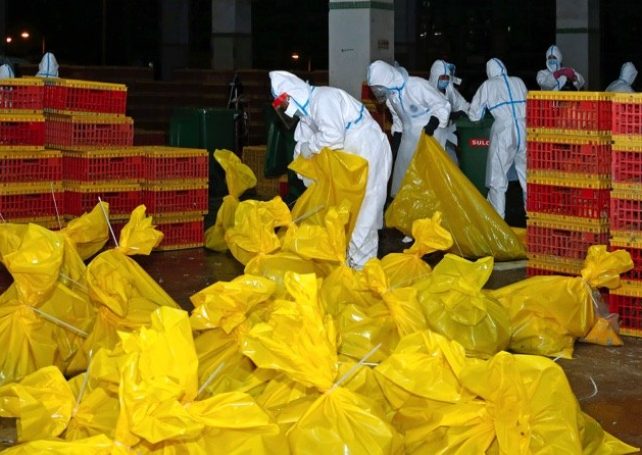 Live poultry imports to cease in Macau