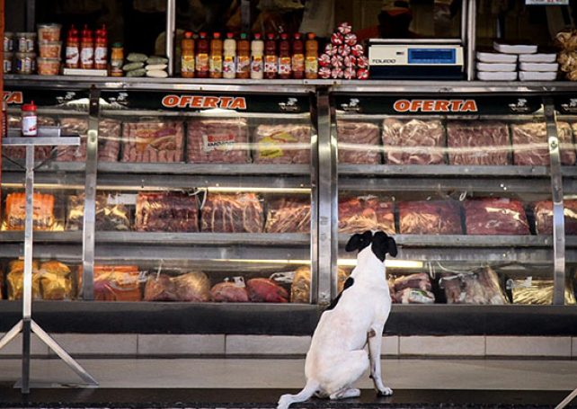 Macau bans Brazilian meat imports with immediate effect