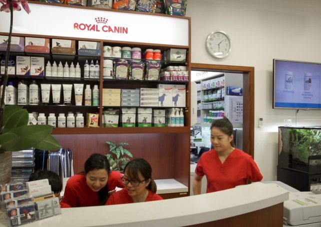 Vet bill won’t ban surgery in Macau veterinary clinics