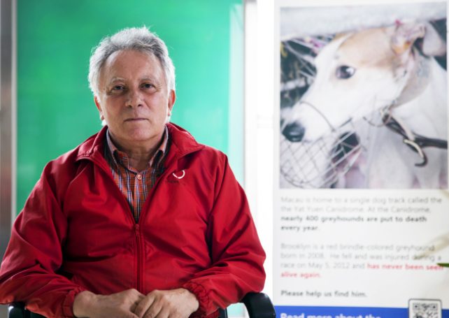 Albano Martins faces dock over dog abuse video