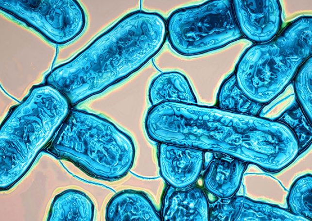 Sands co-operates with govt on legionnaires’ disease