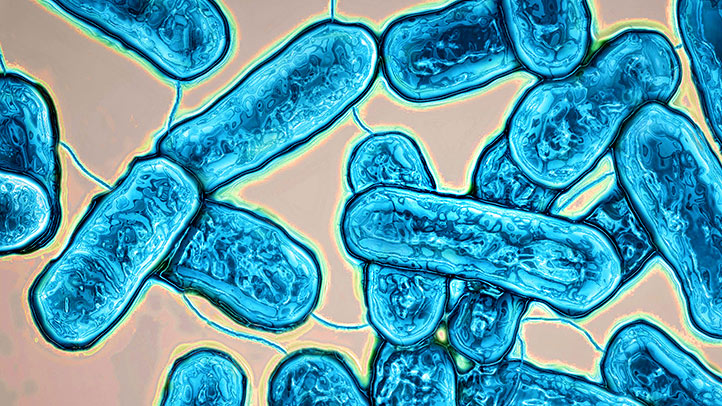 Sands co-operates with govt on legionnaires’ disease