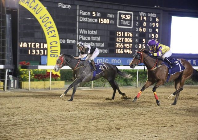 Government to study Jockey Club development plan