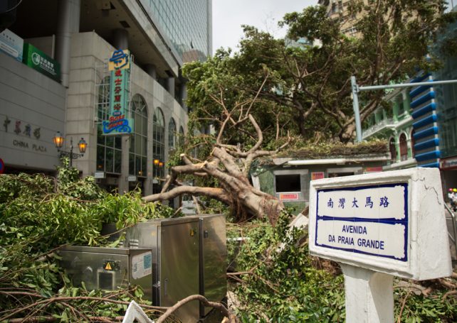 Government collects 1,264 views on disaster-response mechanism