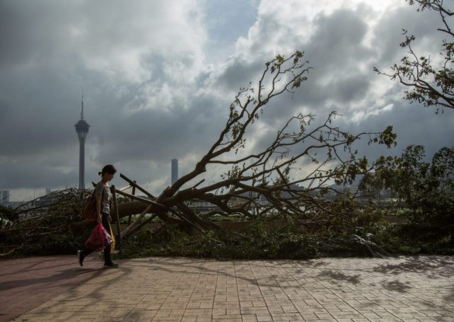 Sands China to donate MOP 65 million for typhoon Hato relief