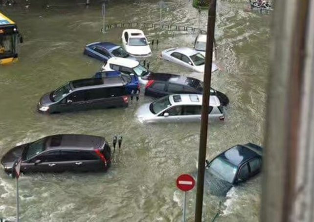 Government reveals vehicle tax rebate for Hato damage