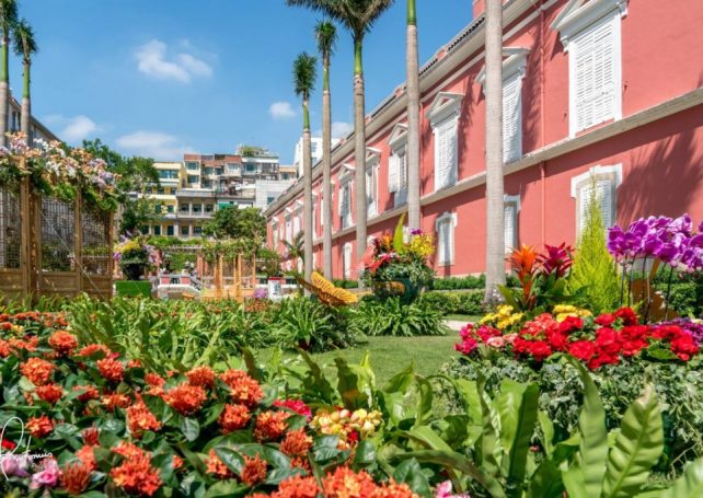 Macau government reserves amount to US$62.8 billion