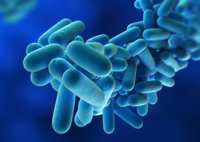 Woman treated for Legionnaires’ disease