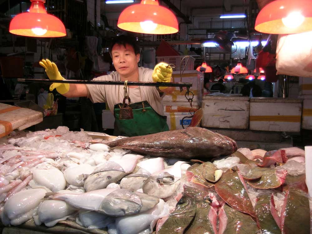 New ‘Water Market’ to open next week