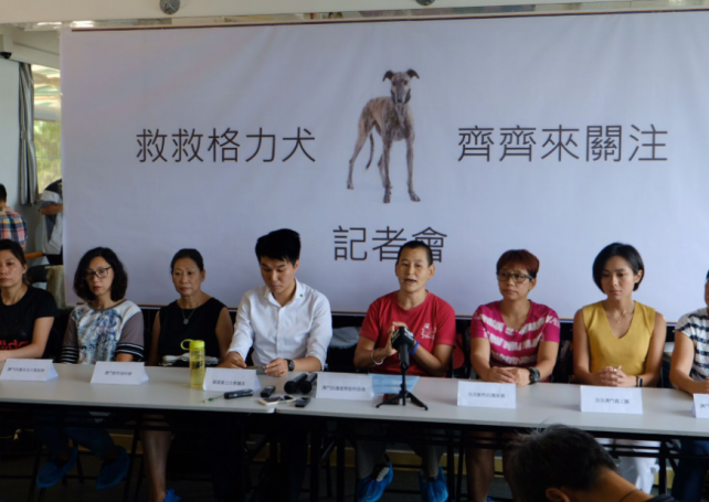8 groups urge govt to ensure greyhounds won’t end up on mainland
