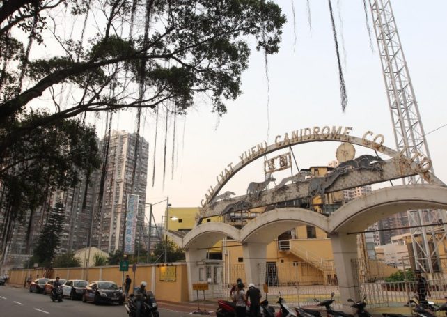Macau government nixes plan to house greyhounds next to old people’s home