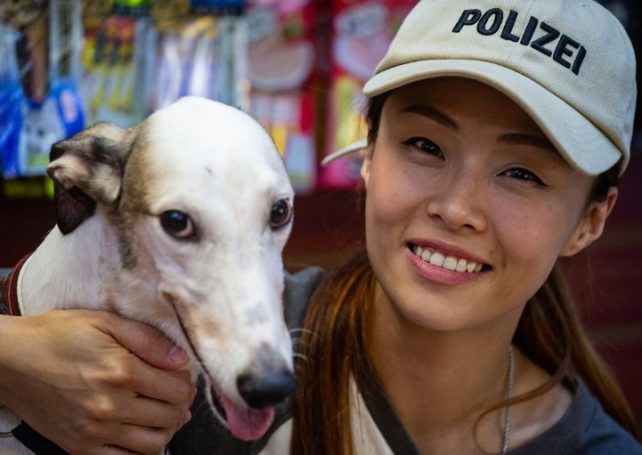 IACM chief believes greyhound adoption to be completed in May