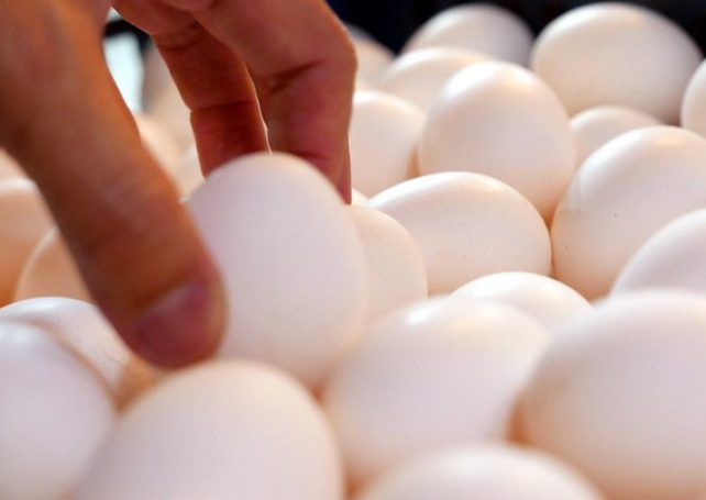 Govt lifts 15-year poultry import ban from 7 countries, 4 regions