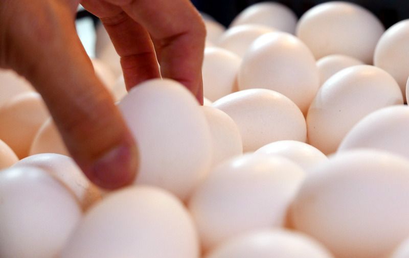 Govt lifts 15-year poultry import ban from 7 countries, 4 regions