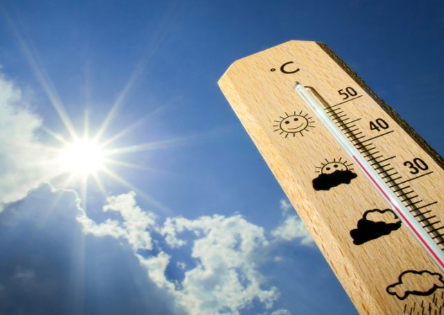 Macau logs fewest cold days since 1952: observatory