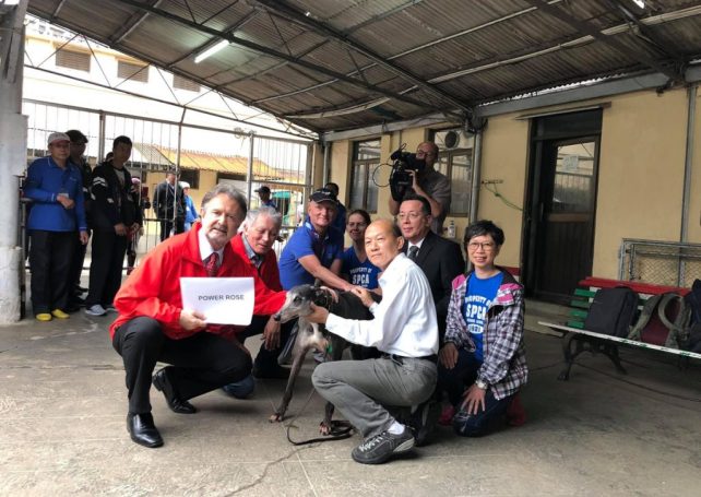 Last greyhounds leave racetrack kennels