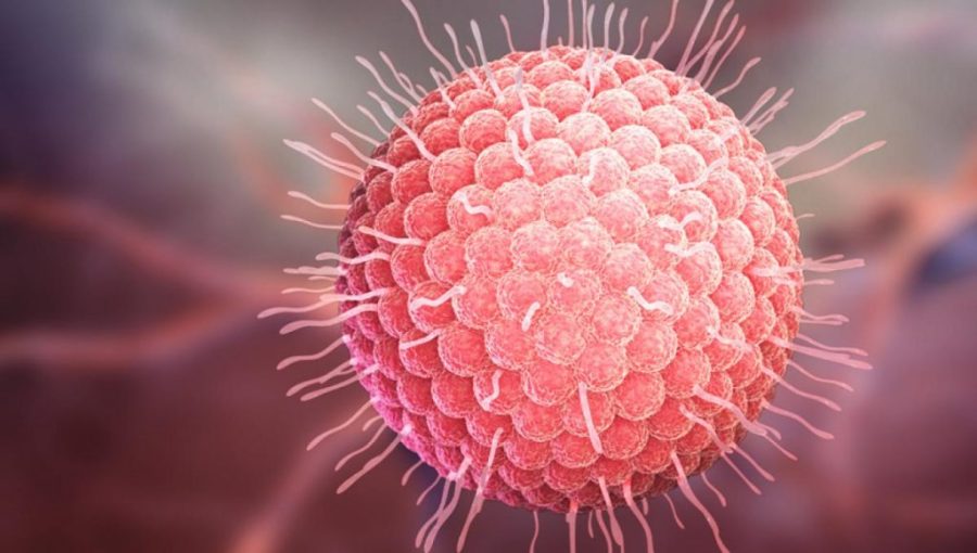 Non-resident worker infected with measles in Zhuhai