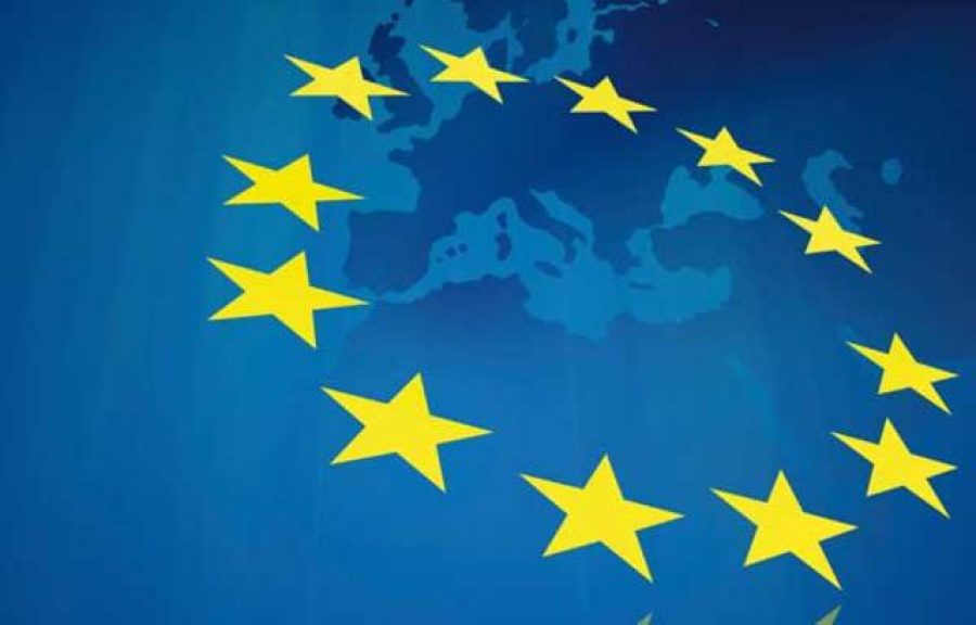 Govt rejects ‘frivolous’ EU report