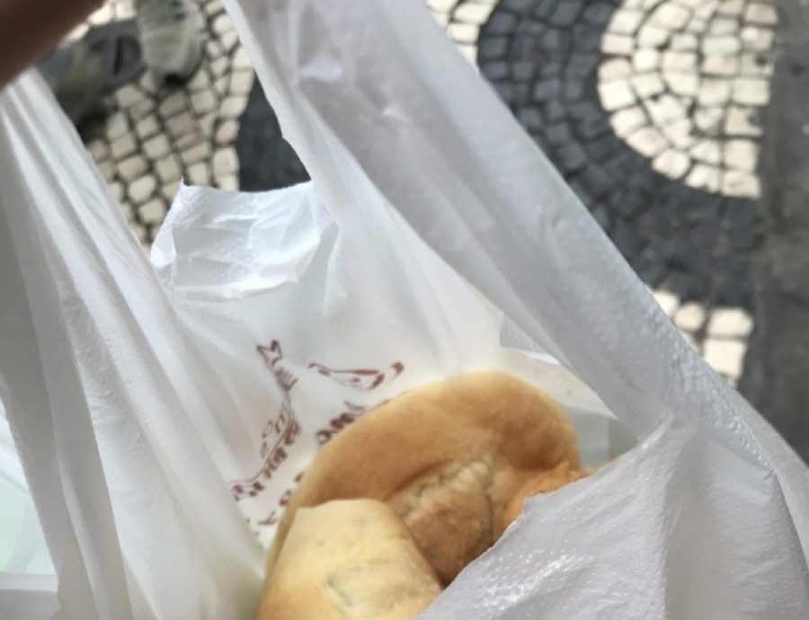 Lawmakers pass bill on plastic bag charge scheme
