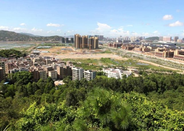 506 apply for Macau & HK tour-guide licence in Hengqin: official