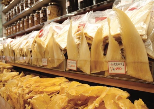 Endangered wildlife trade Macau aligned with international directives, insists DSE