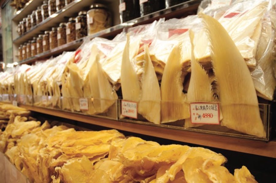 Endangered wildlife trade Macau aligned with international directives, insists DSE