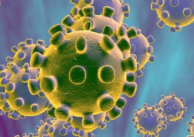 Wuhan viral pneumonia confirmed in Macau