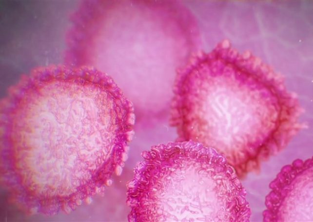 Macau registers second case of Wuhan coronavirus