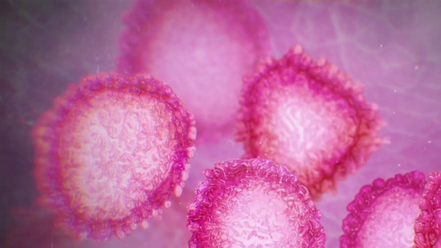 Macau registers second case of Wuhan coronavirus