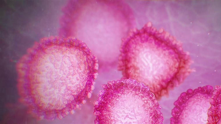 Macau registers second case of Wuhan coronavirus