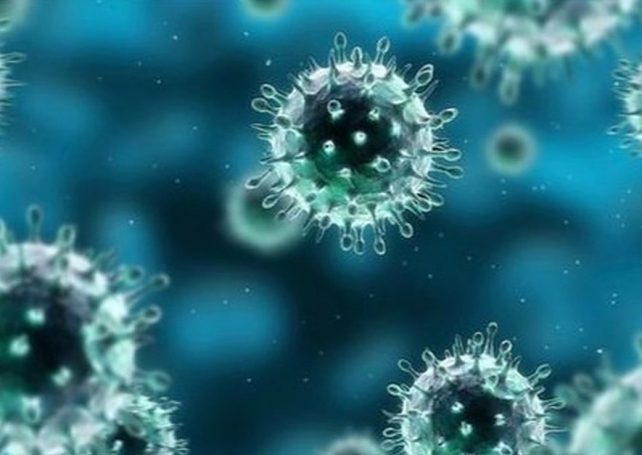 9th case of coronavirus infection in Macau