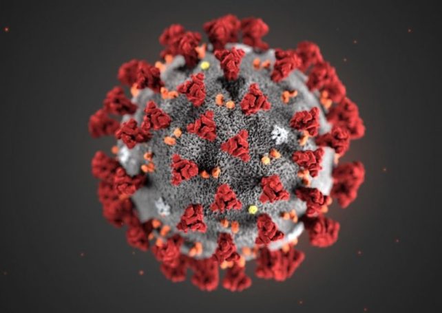 First coronavirus patient recovered and discharged