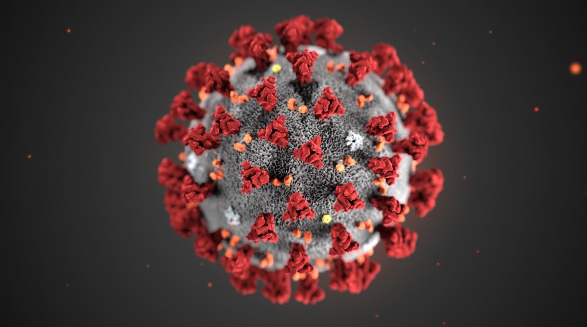 First coronavirus patient recovered and discharged