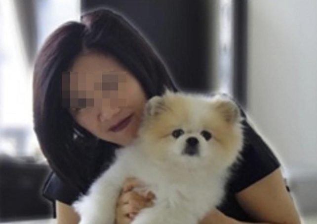 HK pet dog infected with COVID-19