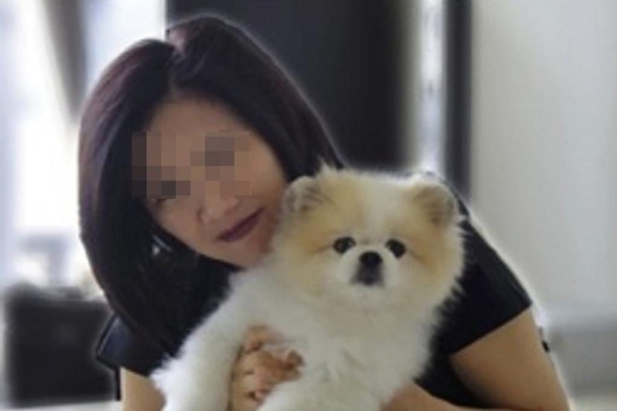 HK pet dog infected with COVID-19