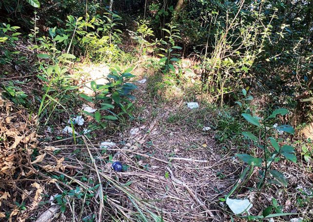 Walking trails littered with facemasks