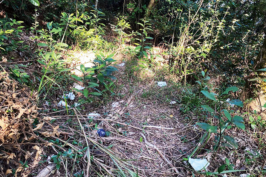 Walking trails littered with facemasks