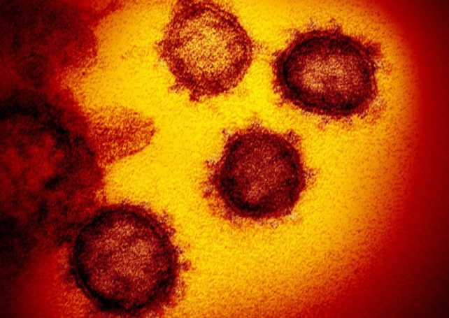 Global COVID-19 cases top 2 million