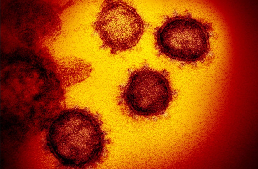 Global COVID-19 cases top 2 million