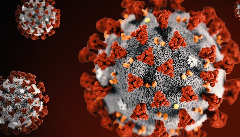 Macau confirms 31st COVID-19 case
