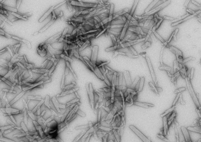 UM uses big data to aid drug nanocrystal development