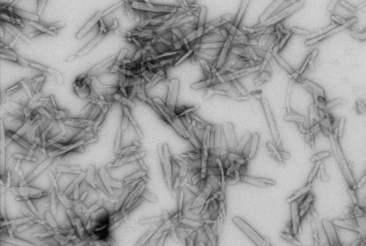UM uses big data to aid drug nanocrystal development