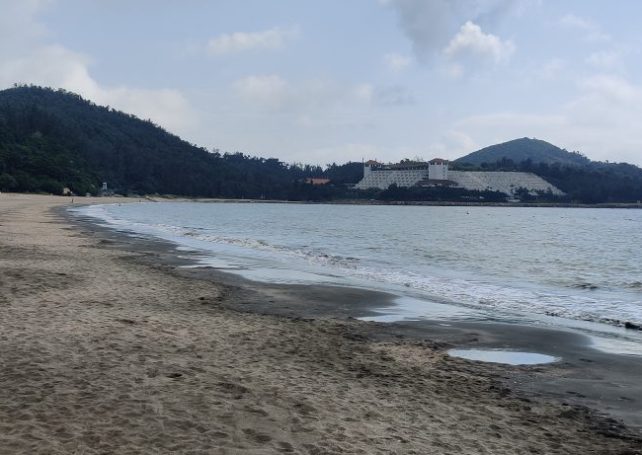 Jellyfish found at Coloane beaches, government urges public not to swim