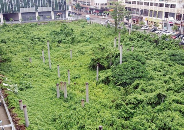 Government repossess idle plot in Nape
