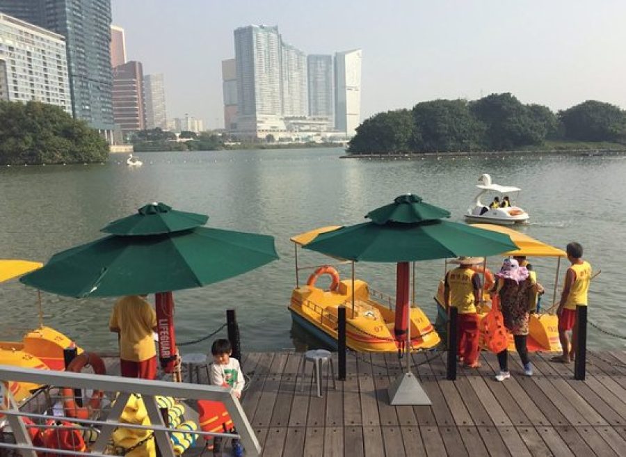 Anim’Arte pedalos to restart tomorrow