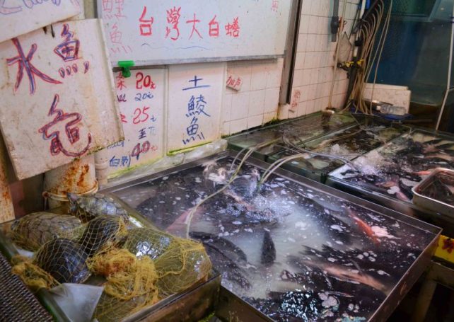 Microbiologist from HKU suggested wet markets in Hong Kong should go cashless