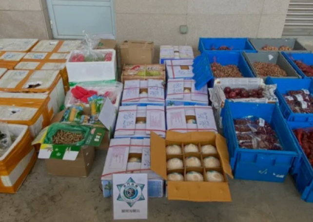Customs Service officers find 540 kg undeclared fruit & veggies